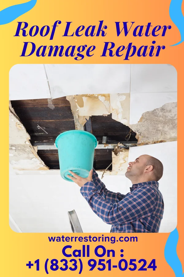 Roof Leak Water Damage Repair in Karnes City, TX